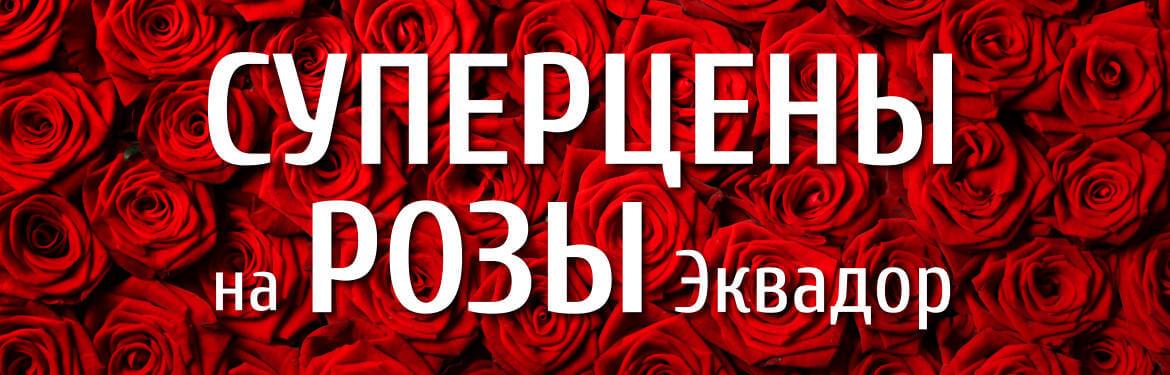 Суперцены на розу Эквадор